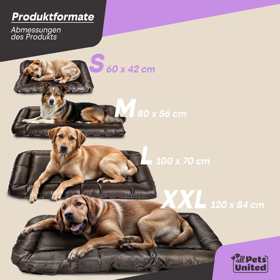 LazyBag Hundekissen Hundebett Hundekörbchen Hundekorb Kissen für Hunde & Katzen - Bild 2 von 4