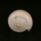 Foto 3 di 6