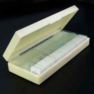 Prepared Glass Slides Biological Microscope Slides Specimen Slides for Science