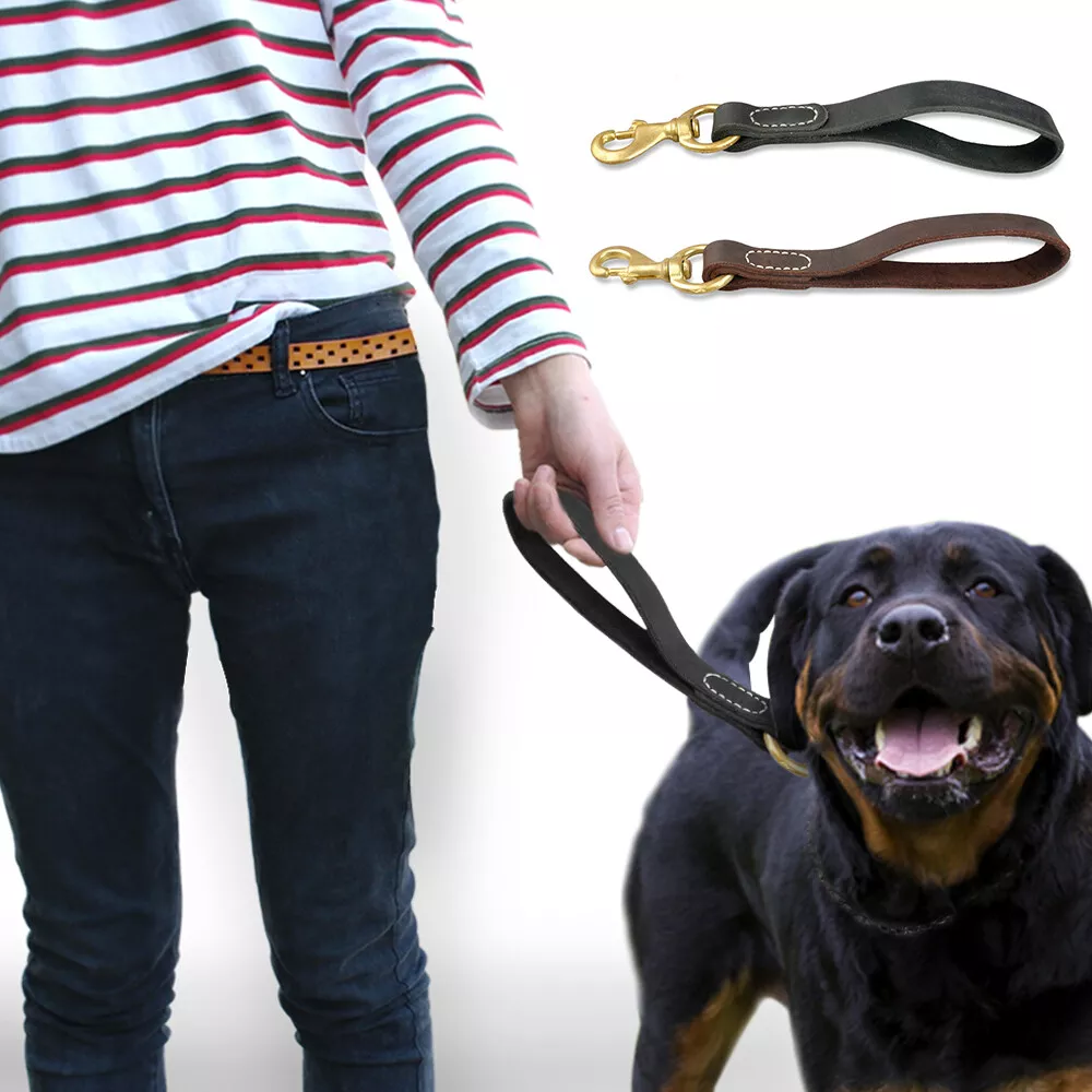 Short dog lead cheap