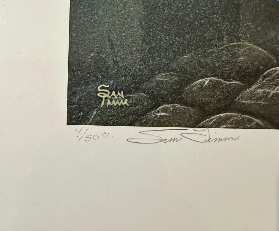 1984 WISCONSIN - State Salmon Trout Stamp Print **SAM TIMM** COLOR REMARQUE - Image 3 of 4
