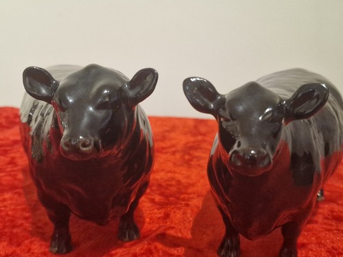 Beswick Cattle Family Black Figurines. Aberdeen Angus Bull, Cow Great Condition