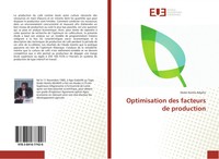 Dodzi Komla Adjaho | Optimisation Des Facteurs De Production | Taschenbuch