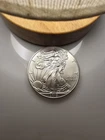 2013 American Silver Eagle