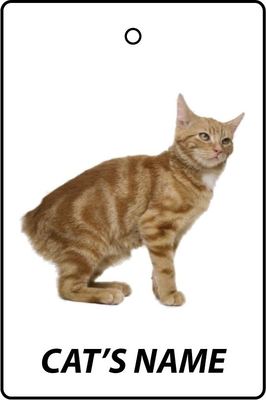 Personalisierter MANX CAT Auto Lufterfrischer / Duftaufhanger (Strumpffuller)