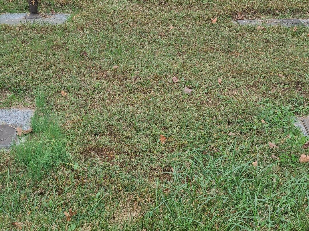 cemetery plots for sale eBay