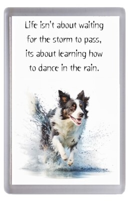 Border Collie Hund Kühlschrankmagnet ''Dancing in the rain'' Gedicht