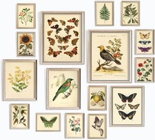 LARGE 11x14 Vintage Botanical Wall Art Decor Plant Posters For Room Aesthetic