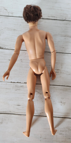Muñeca Barbie Ken 1999/2005 pelo enraizado articulado desnudo 4 proyectos únicos LEER - Imagen 6 de 6