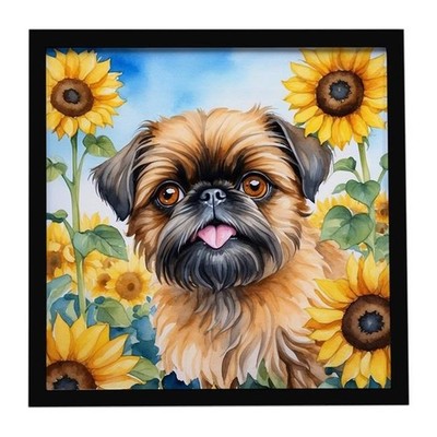 Carolines Treasures DAC6041MFP88 8 x 8 in. Brussels Griffon in Sunflowers Fra...