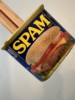 SPAMJO, 2 Strings! ACOUSTIC/ELECTRIC! THE STRADIVARIUS OF STRING CAN INSTRUMENTS