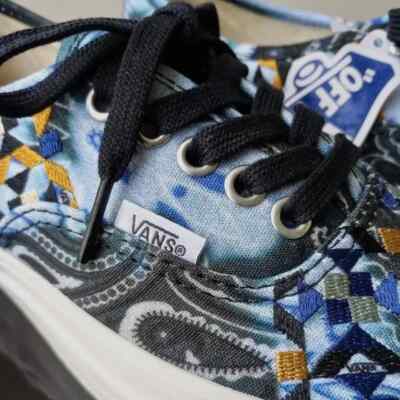 Vans Men's Authentic 44 DX Anaheim Factory Sneaker in Amazing