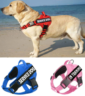 no pull service dog vest