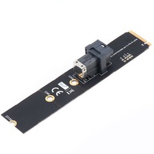 U.2 to M.2 NVMe Adapter Card, SFF-8643 Mini SAS to M Key 22110/2280/2260 SSD
