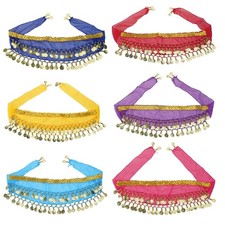 Sparkling Pet Hip Scarf Belly Dance Costume For Stage Performances Special Event