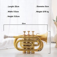 POCKET TRUMPET Bb BRASS W/FREE HARD CASE,AND MOUTHPIECE.