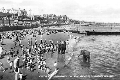 Oox-19 Circus Elephants On The Beach, Clacton On Sea, Essex. Photo