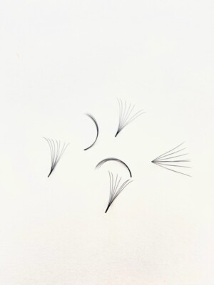 EYELASH EXTENSION FOR PROFESSIONAL (0.07mm. 7D/CC CURL)