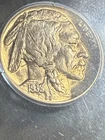 1938 D  Buffalo Nickel PCGS MS65 CAC Rattler Toned
