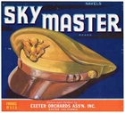 ORIGINAL CRATE LABEL EXETER TULARE 1952 USAAF SKY MASTER WWII MILITARY RARE