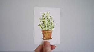 Original ACEO Watercolor Painting - Titled "Rosemary in Terracotta"
