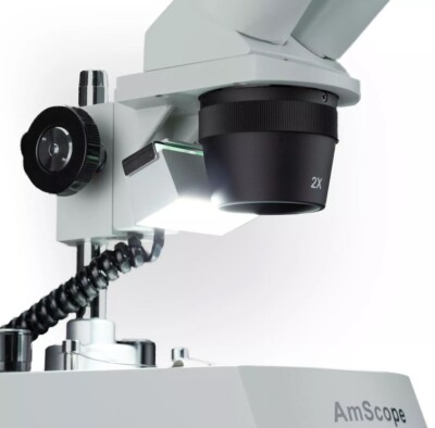 AmScope SE306R-P20 40X-80X Schüler Binokular Stereomikroskop mit zwei Lichtern
