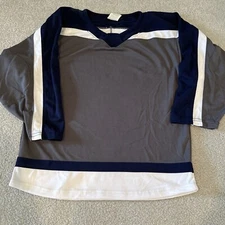 Winnipeg Jets Colors Blank Hockey Jersey Youth Size Large Athletic Knit AK Gray