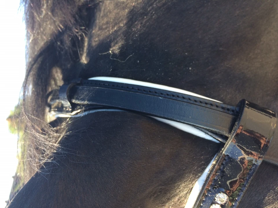 Trense, Lacktrense, Zaumzeug Trensenzaum anatomisch, Ohren und Gebissfreiheit - Bild 3 von 4