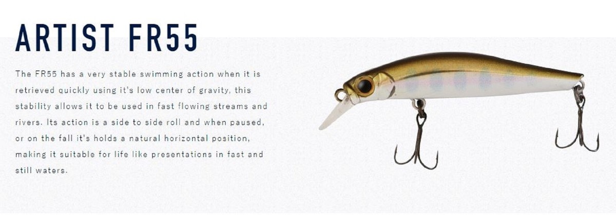 Leurre pour la pêche de la truite JACKSON Artist FR55