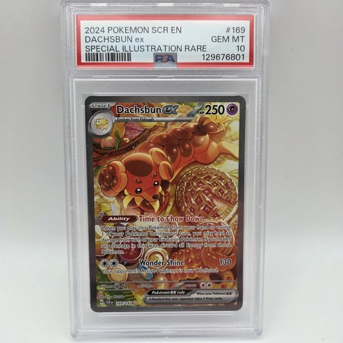 Dachsbun ex graded PSA 10 for sale on eBay