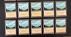 MTG 10X JAPANESE BLACK BORDERED PLAINS FBB MAGIC THE GATHERING BASIC LAND #B