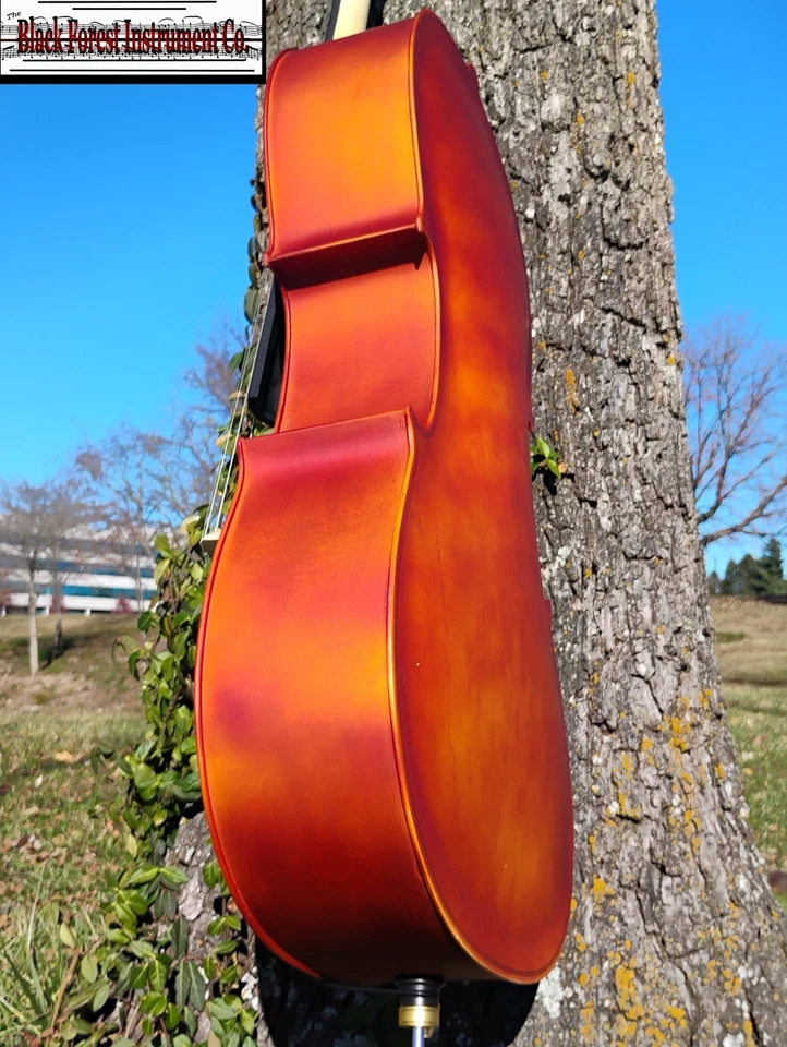 Black Forest Instrument Co - 4/4 - Violonchelo - CONFIGURACIÓN COMPLETA + Accesorios Foto 3 de 4