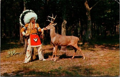 WHITE TAIL DEER Chief Little Eagle WISCONSIN DEER PARK c1960 animal Postcard
