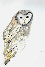 Original Watercolour Owl Painting – Bird Art – Michelle Kral 3