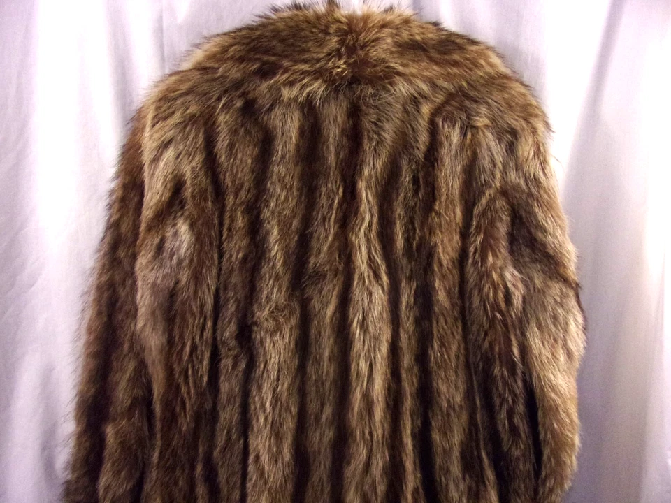 女士浣熊毛皮大衣小号 NH Rosenthal Furs 芝加哥胸部 34 英寸非常好 — 第 2/4 张图片