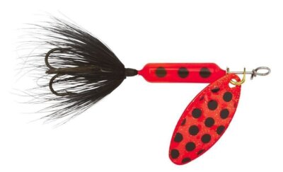 Yakima Bait Wordens Original Rooster Tail Spinner Lure, Flame Spot, 1/6-Ounce
