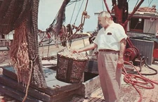 C1950s Pink Jumbo Shrimp, Tampa Harbor, P.M. Sarasota Fla. 1303