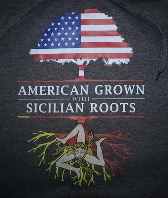 Port & Company with  American Grown With Italian Roots Pullover Hoodie 2XL NEW