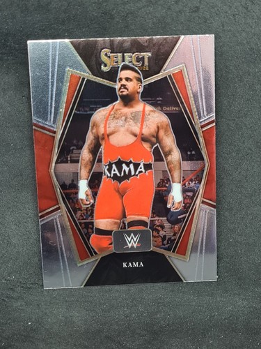 carte catch 2022 panini wwe select concourse prizm aux choix liste déroulante - Imagen 332 de 383