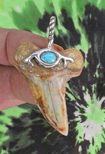 Mako Sharks Tooth Pendant BEAUTY!! 925 Sterling silver fossil sharks teeth