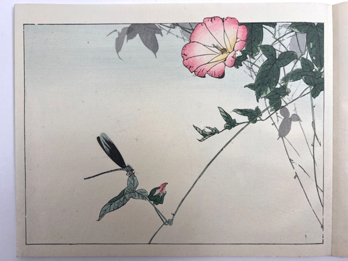 Japanese Woodblock Print Book “Seitei Kachocho” Watanabe Seitei 12 Illustrations - Picture 13 of 19