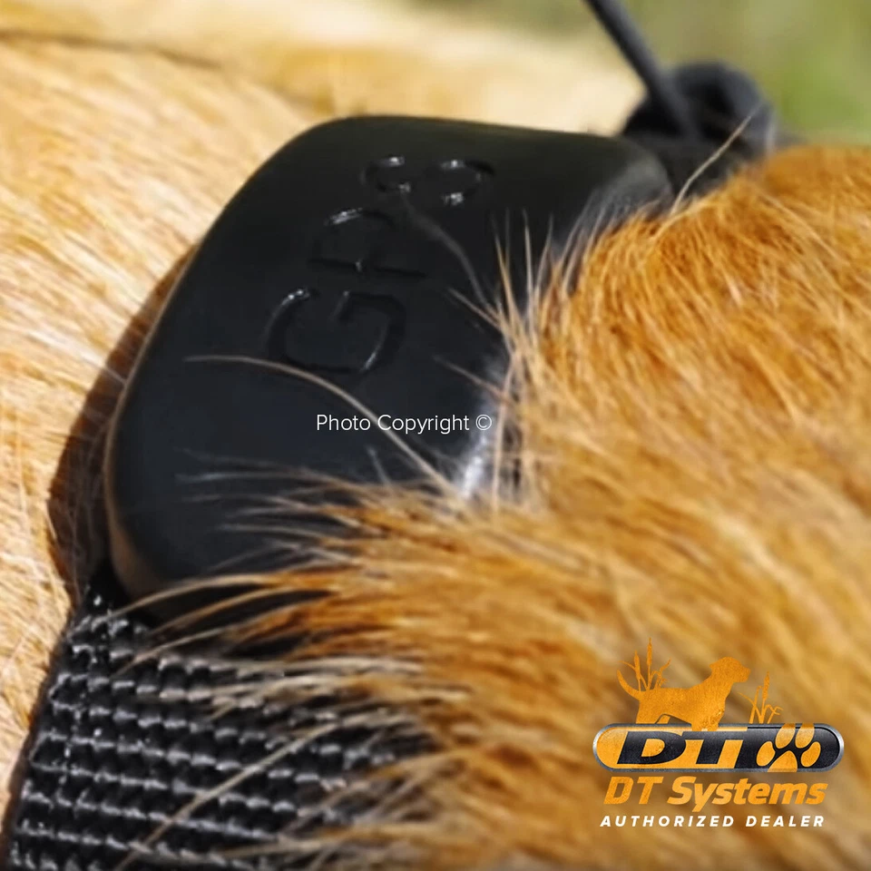 Collar para perro DT Systems Border Patrol TC1 GPS collar adicional inalámbrico cerca para perros Foto 4 de 4