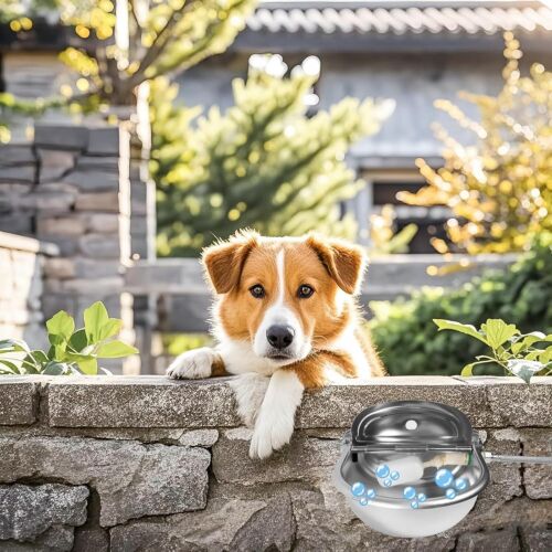 Automatic Dog Water Dispenser, 304 Stainless Steel Water Dispenser with - Picture 3 of 7