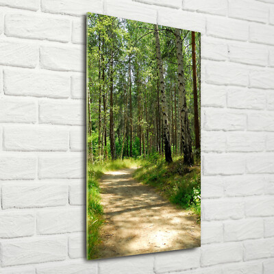 Wandbild Kunst-Druck auf Hart-Glas hochkant 70x140 Birkenwald