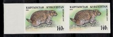 Kirghizistan Sc56 fauna selvatica, Woodchuck, coppia imperf.