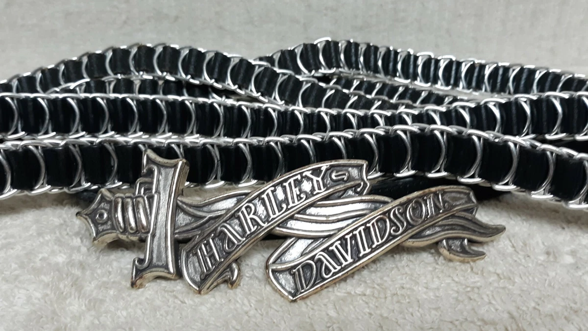 Harley davidson chain clearance belt