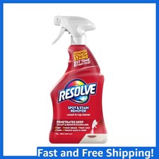 Advanced 22 Oz Carpet Stain Remover Spray - Odor Neutralizing & Stain Resistant 0.32 per fl oz