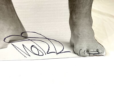 Morrissey Rare Autographed Record Store Stand Up Display Standee