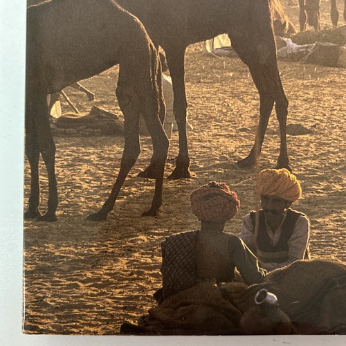 India Christophe Boisvieux Didier Sandman Photo Book Hardcover - Picture 4 of 24