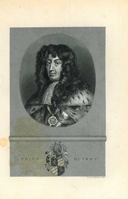 Portrait of Prince Rupert of the Rhine